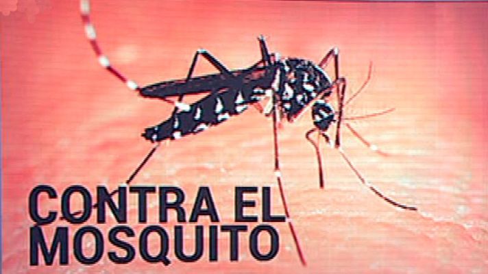 España Directo - ¡Cómo pican los mosquitos!