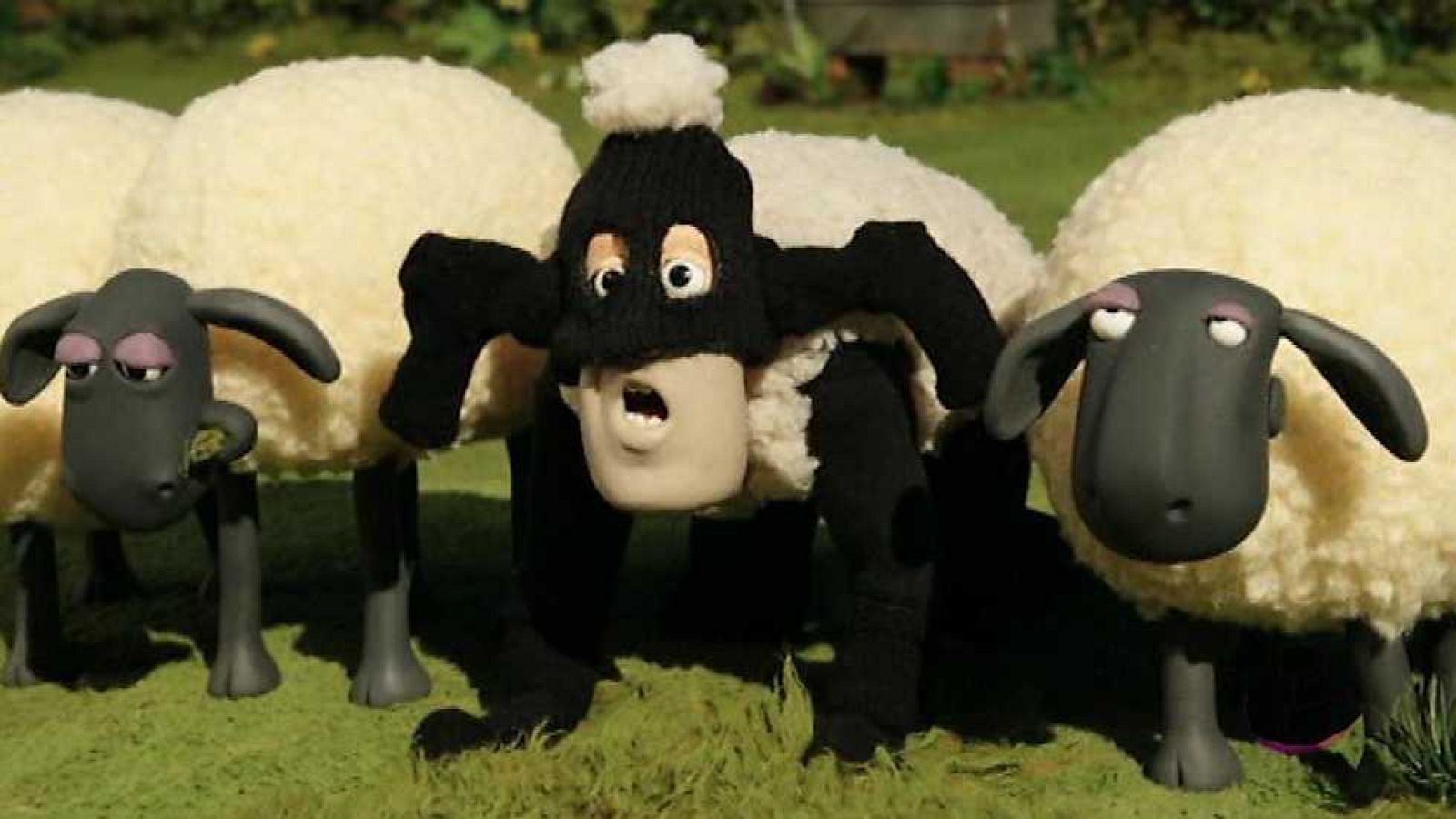 Se busca - La oveja Shaun | Ver