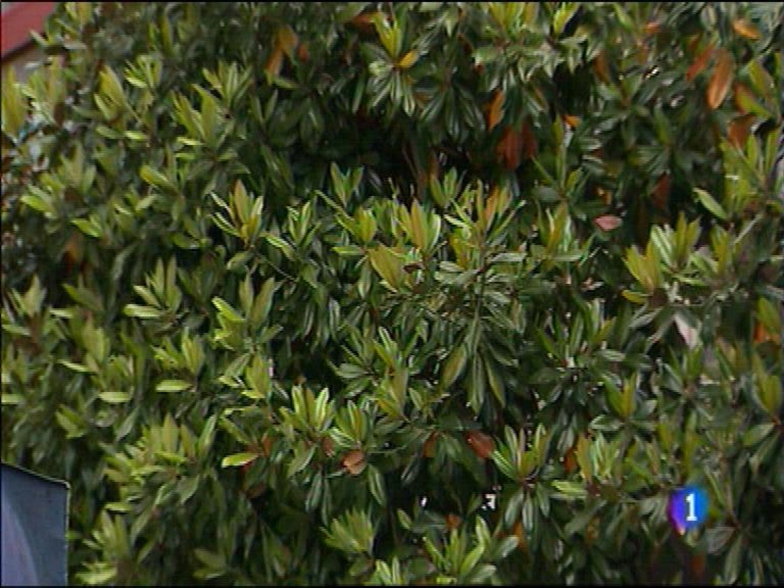 El tiempo en Asturias - 10/06/16 | Ver