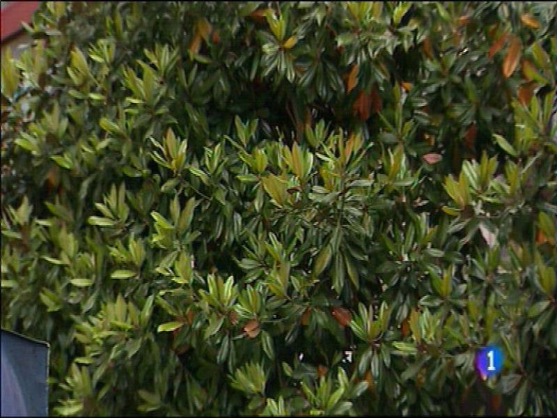 El tiempo en Asturias - 10/06/16 | Ver