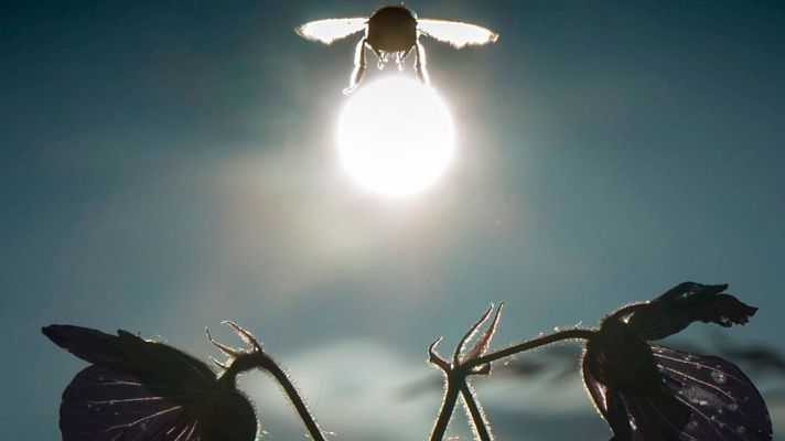 El tiempo - Ligera bajada de las temperaturas