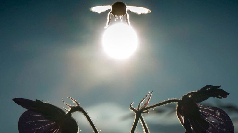 Ligera bajada de las temperaturas