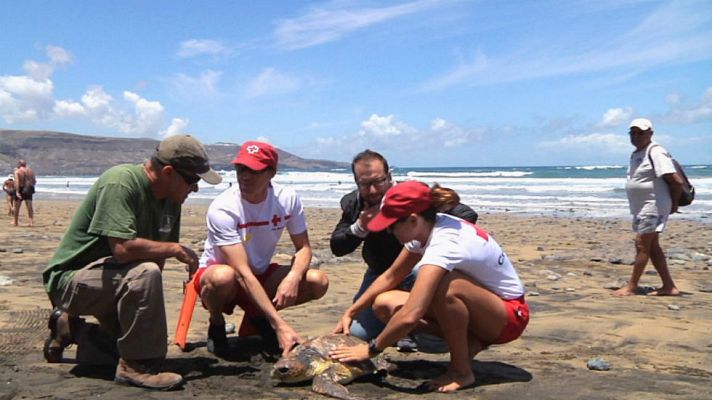 Aquí la Tierra - Operación rescate