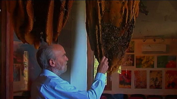 España Directo - El hombre Zángano