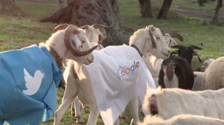 Economía de bolsillo - E-comerce