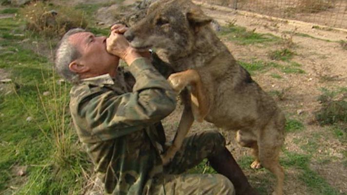 Telediario 1 - La historia de Marcos Rodríguez Pantoja, el 'niño que vivió en el monte'
