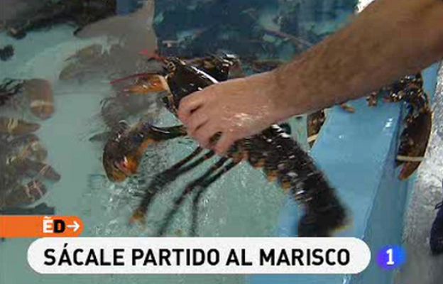 RTVE Cocina - Ideas para el menú navideño