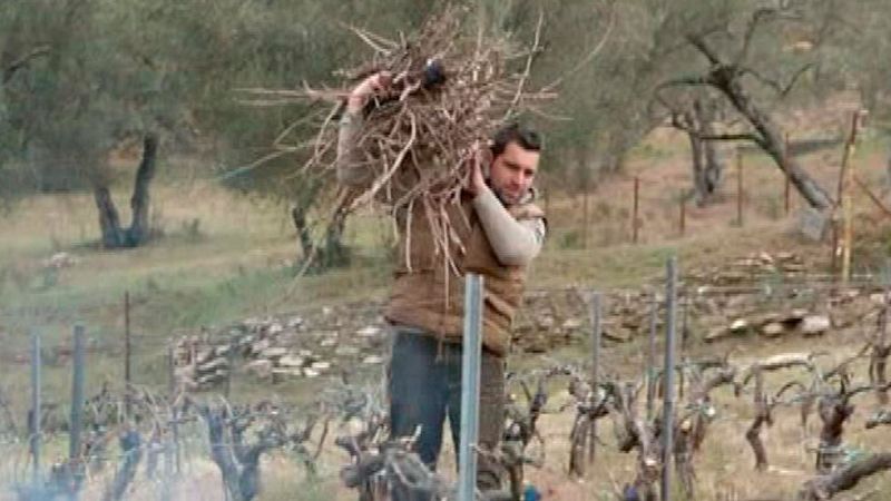 Red natura 2000 - Un viñedo y una bodega en la sierra norte de Sevilla