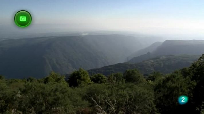 Agrosfera - Ribera sacra (Ourense)