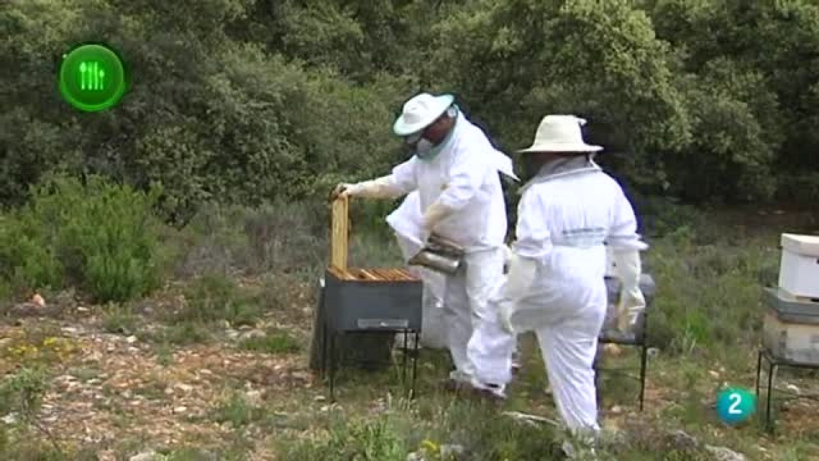 Agrosfera - Con mucho gusto - Colmenas ecologicas