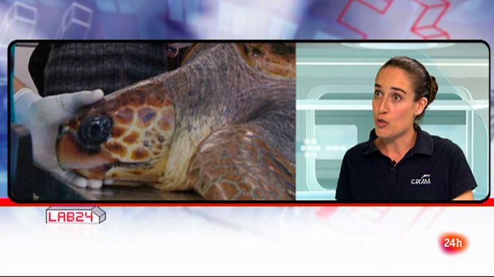 Lab24 - Entrevista a Elsa Jiménez