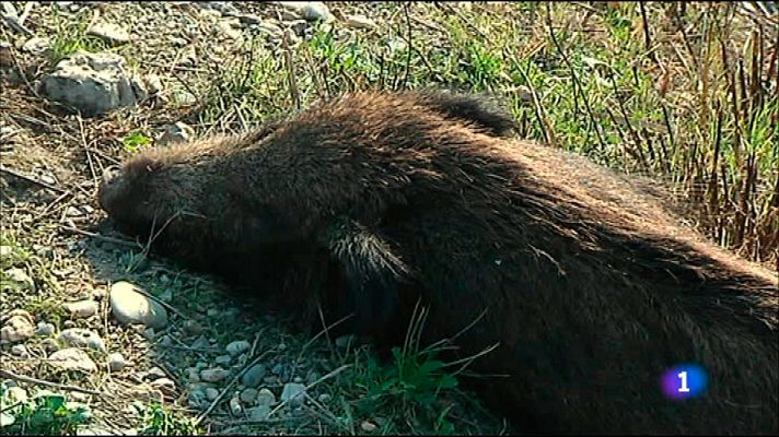 L'Informatiu - L'Informatiu 2 - 13/06/2016