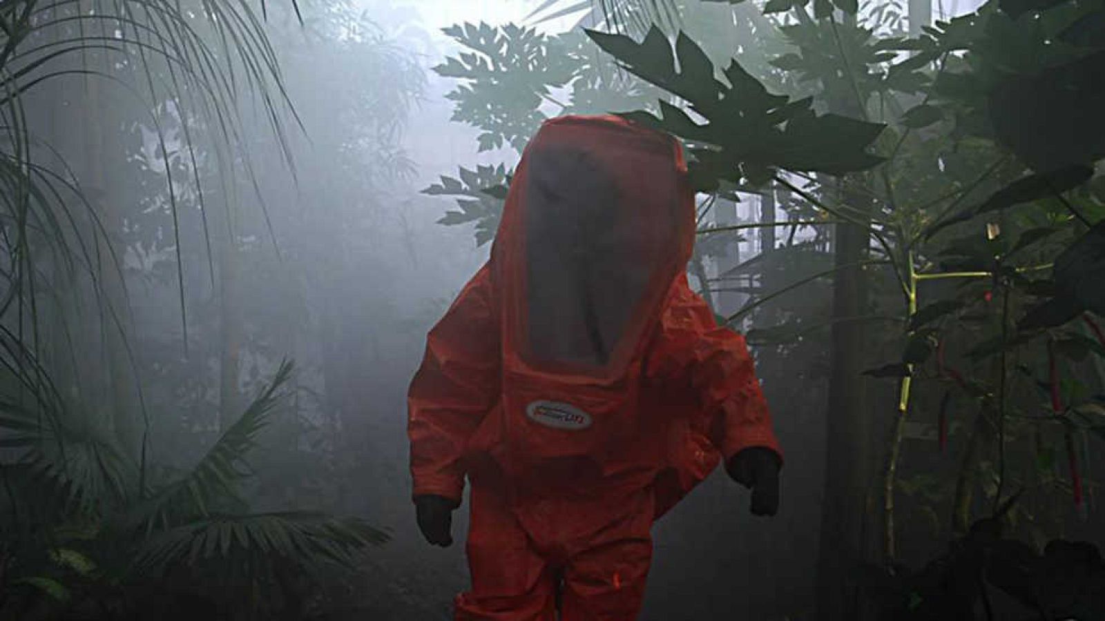 Documentos TV - La visita - ver ahora