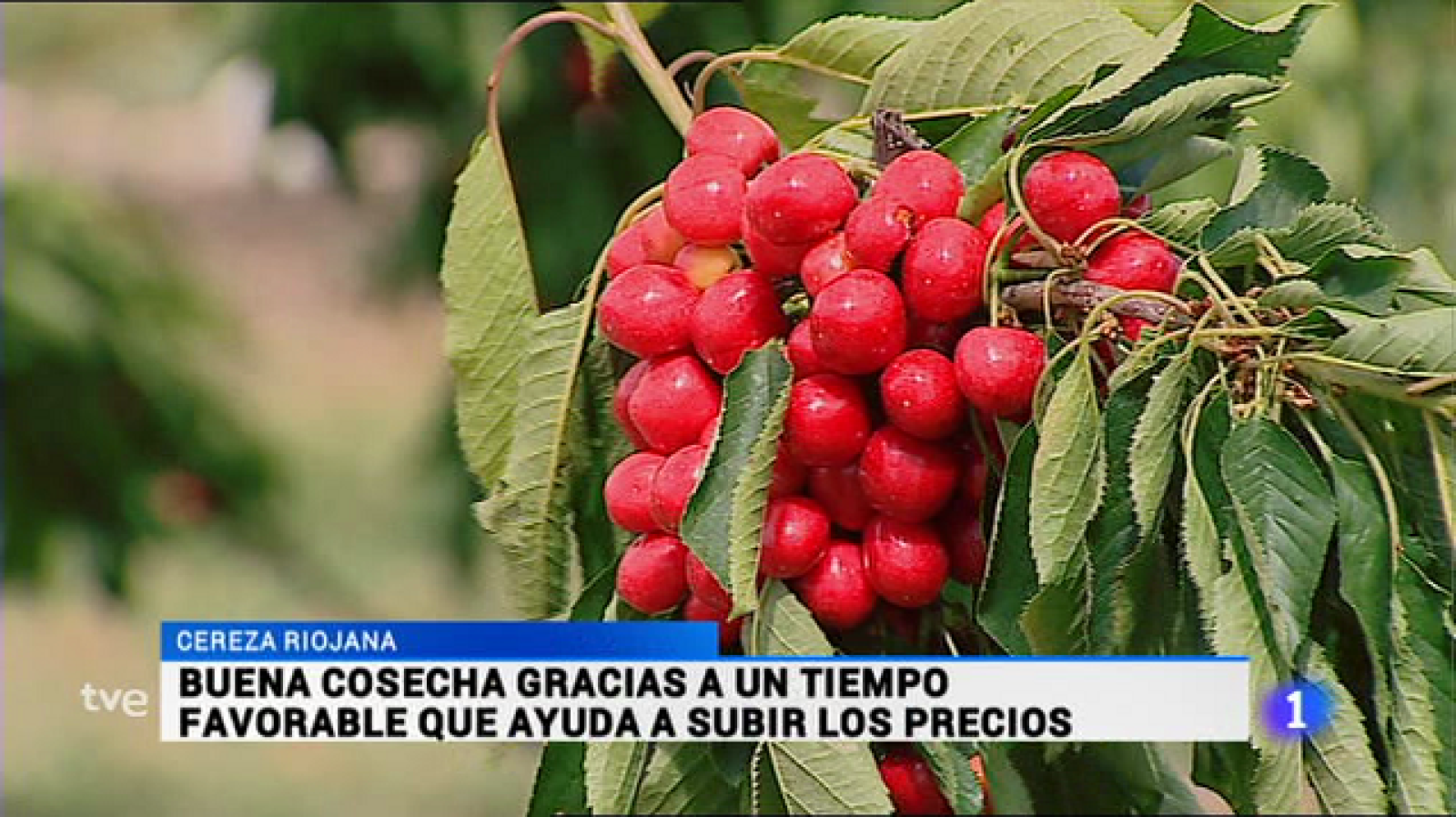 Telerioja en 2' - 14/06/16