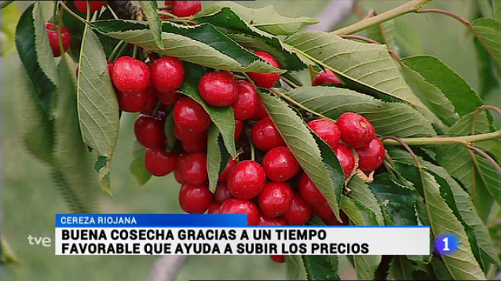 Informativo Telerioja - Informativo Telerioja 2 - 14/06/16