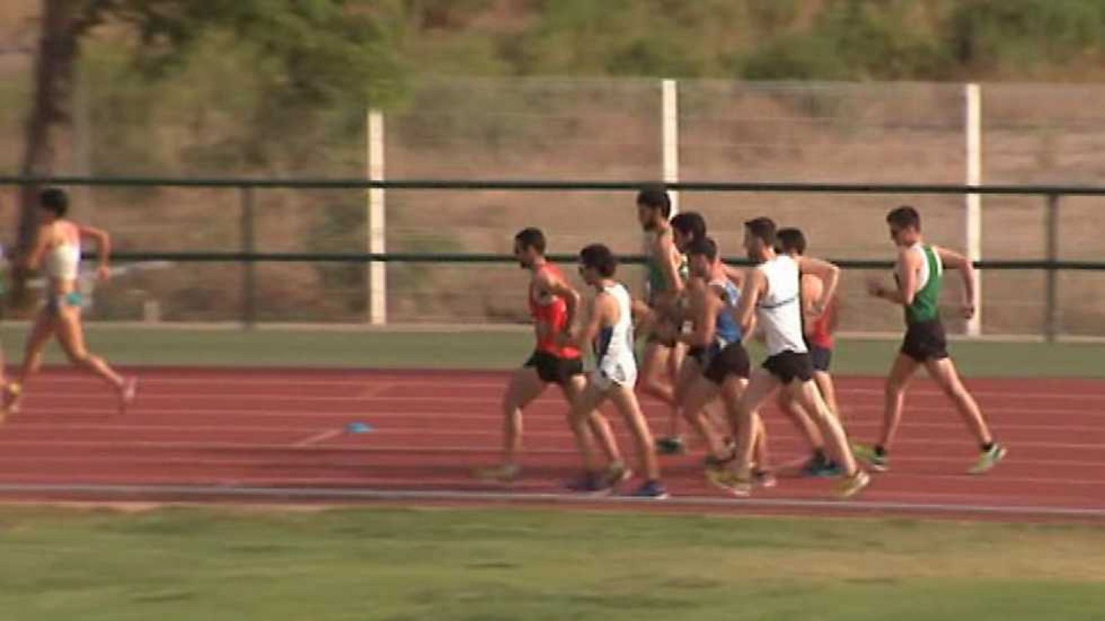 Atletismo - Campeonato de España de Clubes. División de Honor. Final - ver ahora