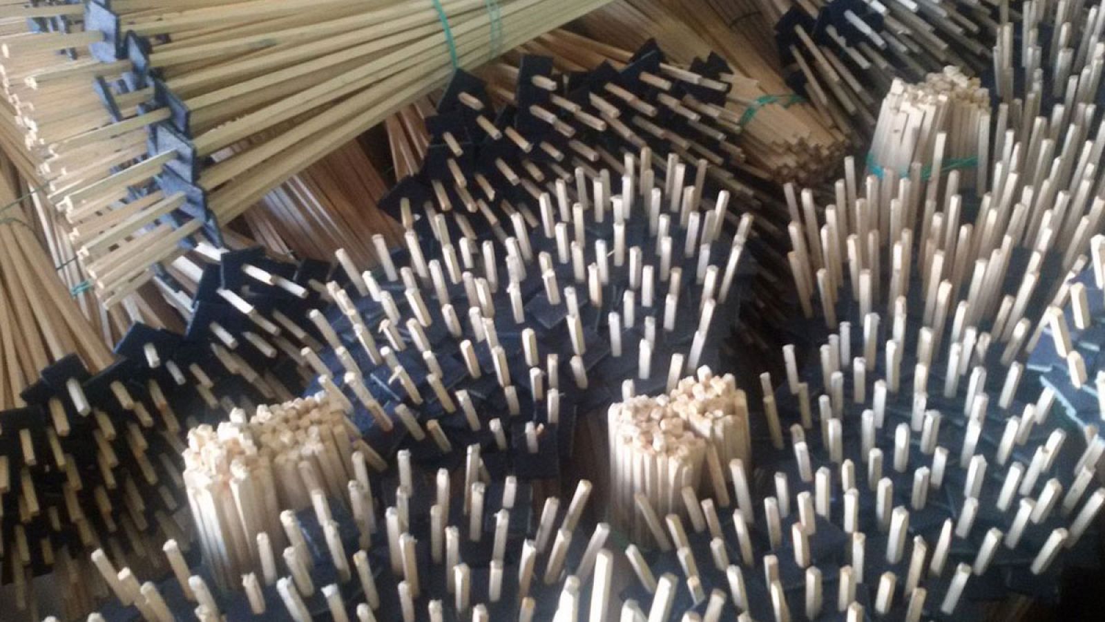 Así combaten el el 'chilo' en los arrozales valencianos