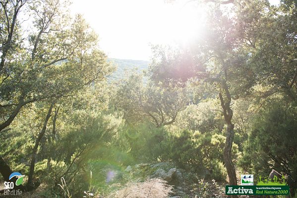 Red Natura 2000 - L'Albera