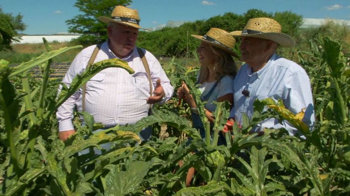 Aquí la Tierra - Un calabacín que vale por dos
