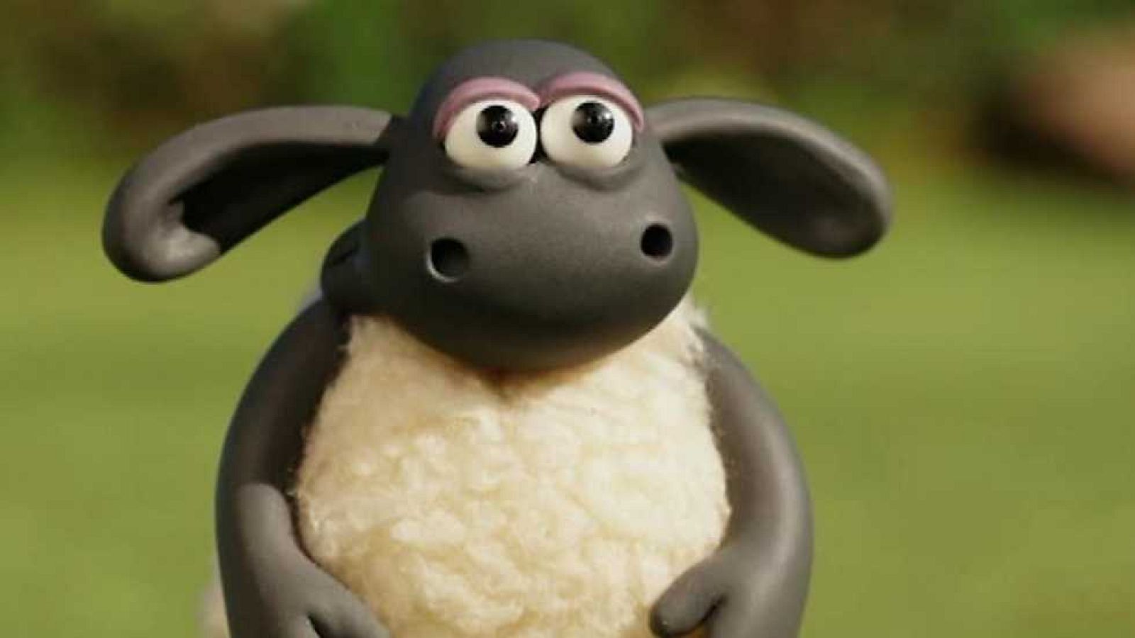 Manteniendo la paz - La oveja Shaun | Ver