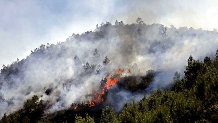 L'informatiu - Comunitat Valenciana - L'Informatiu - Comunitat Valenciana - 17/06/16