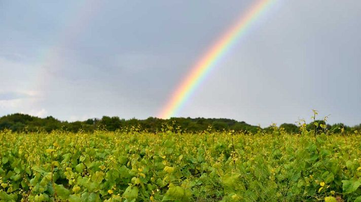 El tiempo - Cataluña y Baleares en alerta por lluvias y tormentas  y subirá la temperatura en la mitad oeste peninsular