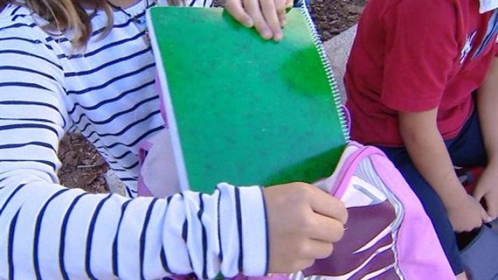 Telecanarias - Canarias en 2' - 18/06/2016