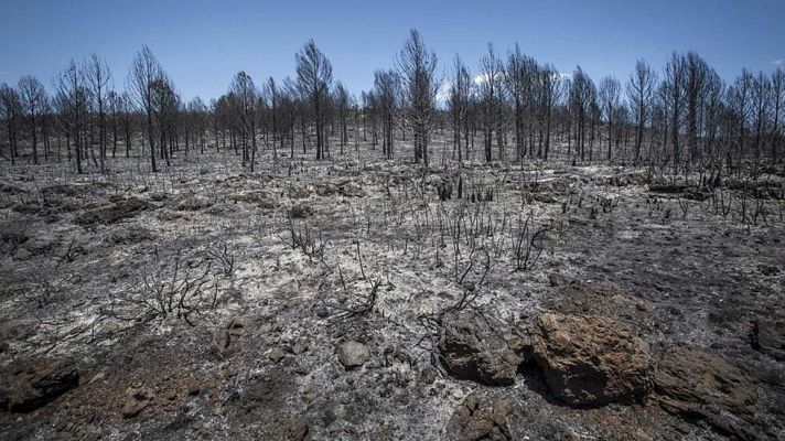 Telediario 1 - Comiezan a volver a sus hogares los vecinos afectados por los incendios en Carcaixent