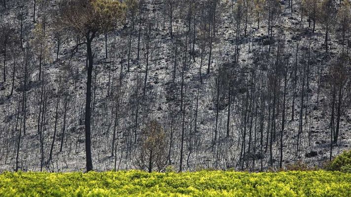 Telediario 1 - Estabilizado el incendio de Carcaixent, aunque aún no está controlado