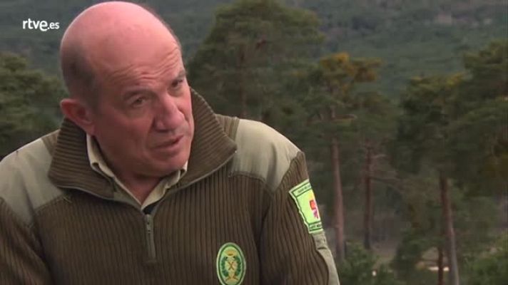 Crónicas - Antonio Martín Chicote. Presidente Cabaña Real de Carreteros