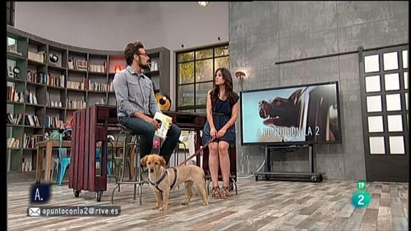 A punto con La 2 - Animales en casa - Los perros y el calor