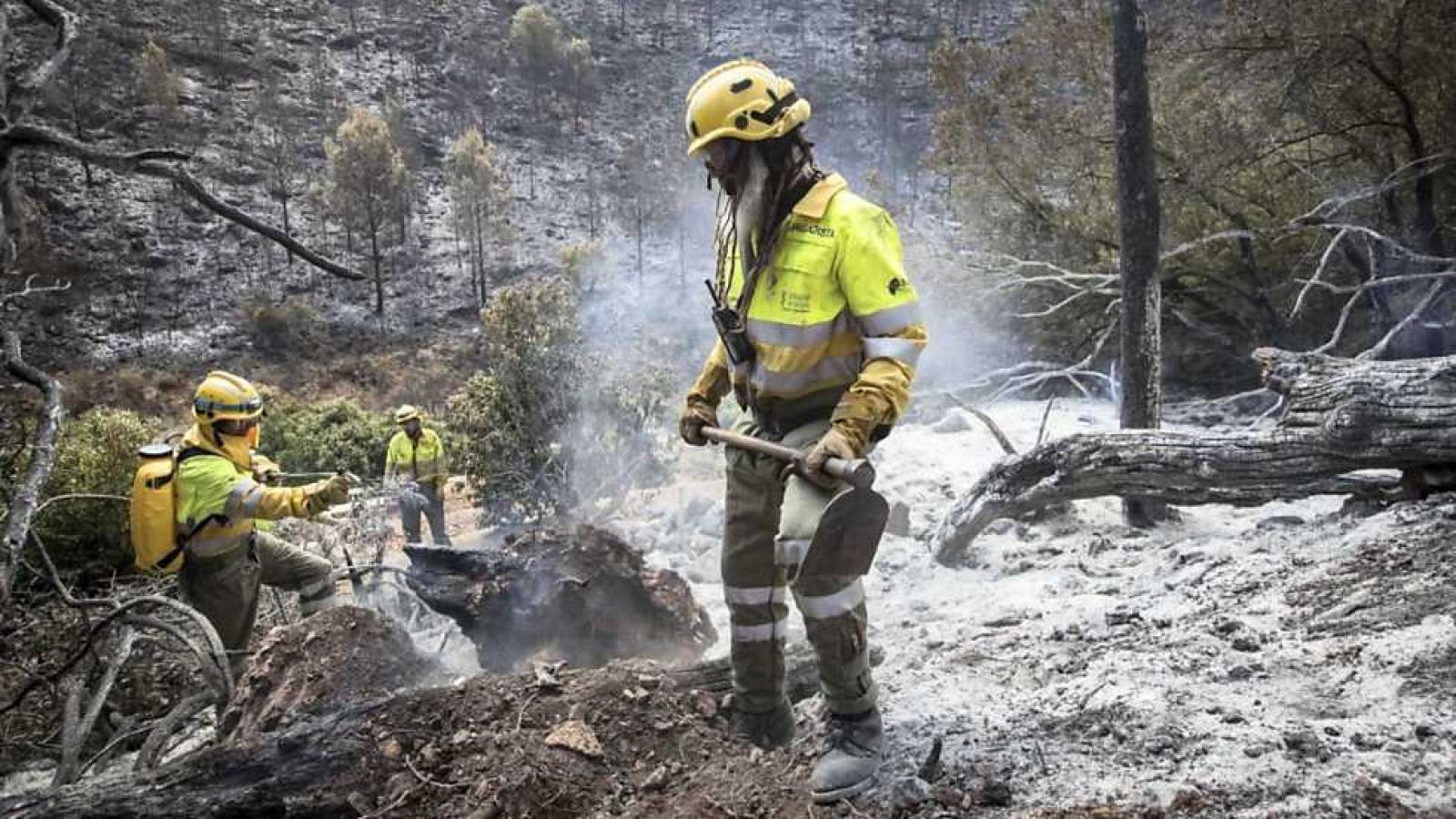 L'Informatiu - Comunitat Valenciana - 20/06/16 - ver ahora