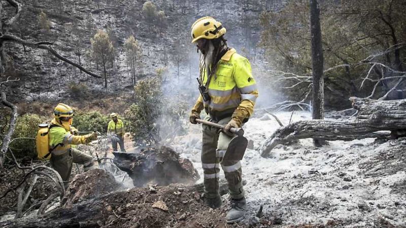 L'Informatiu - Comunitat Valenciana - 20/06/16 - ver ahora
