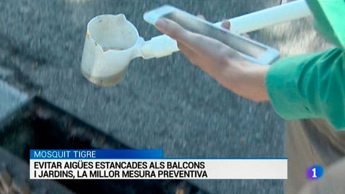 L'Informatiu - L'Informatiu 2 - 20/06/2016