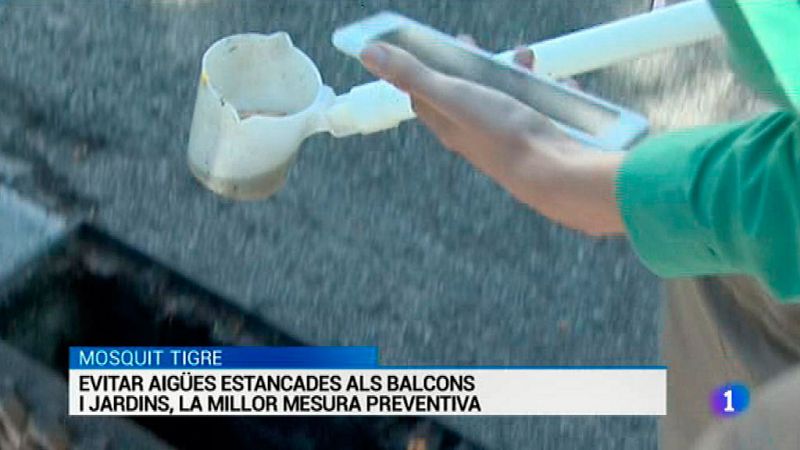 L'Informatiu 2 - 20/06/2016