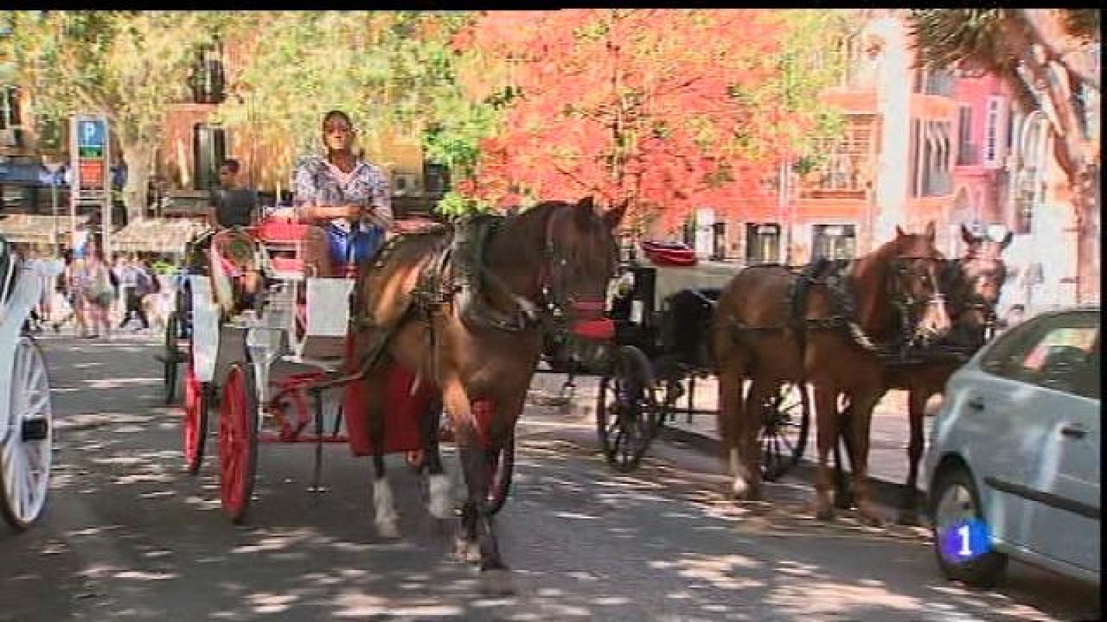 Polèmica per les galeres