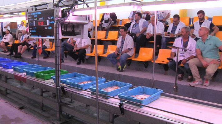 Aquí la Tierra - ¿Cómo funciona una lonja?