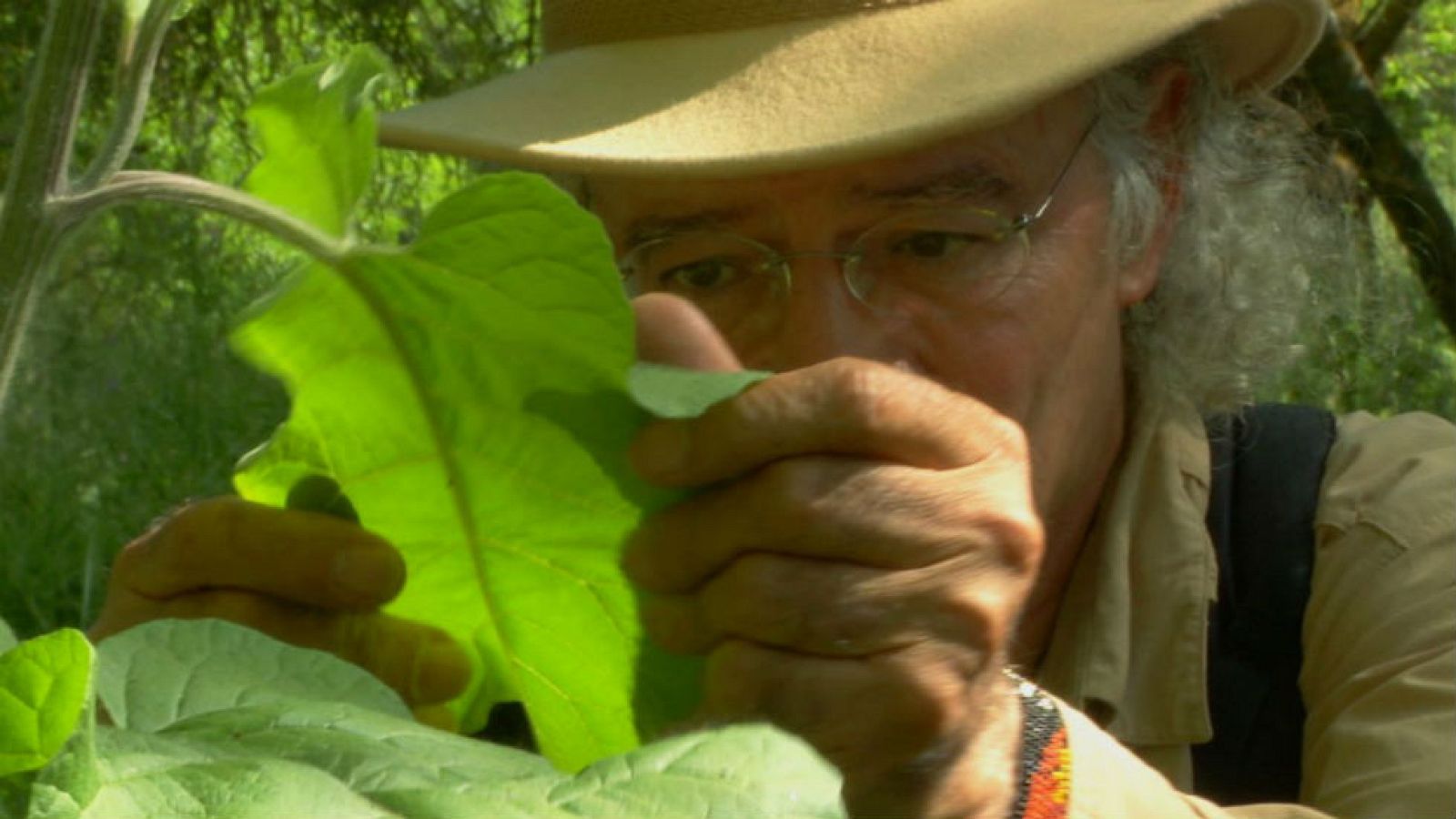 El enemigo de Juan Plantas