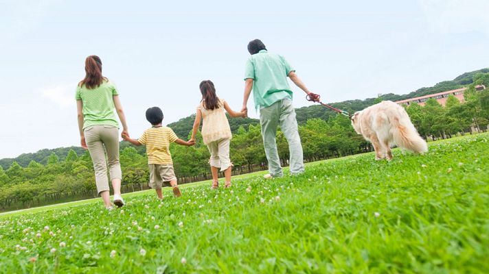 Telediario 1 - El gasto de los hogares españoles creció un 1,4% en 2015
