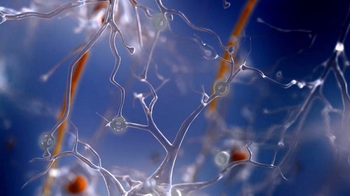 Desafía tu mente - ¿Cómo interpreta nuestro cerebro el movimiento?