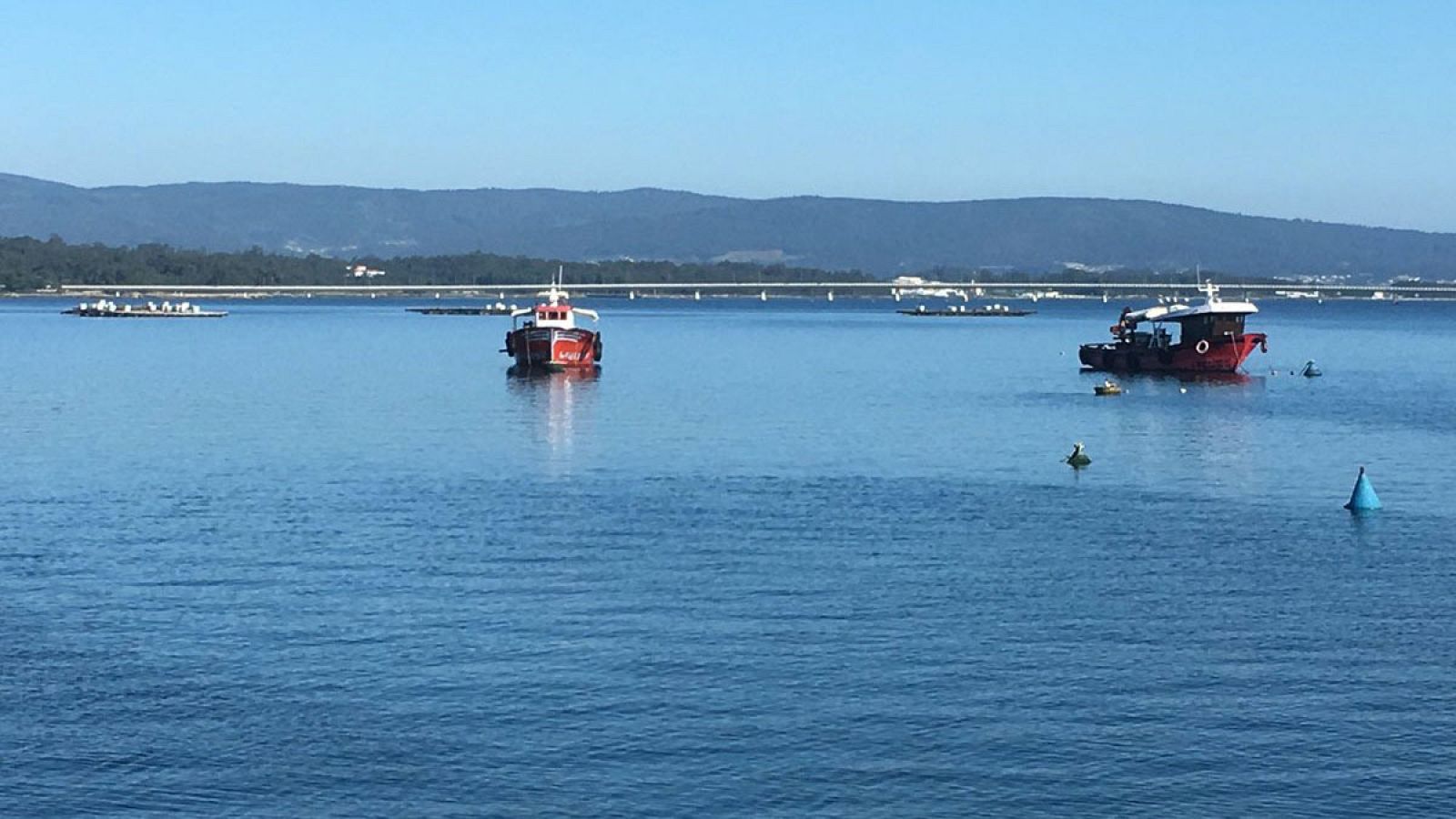 Preocupación en Galicia por el mejillón