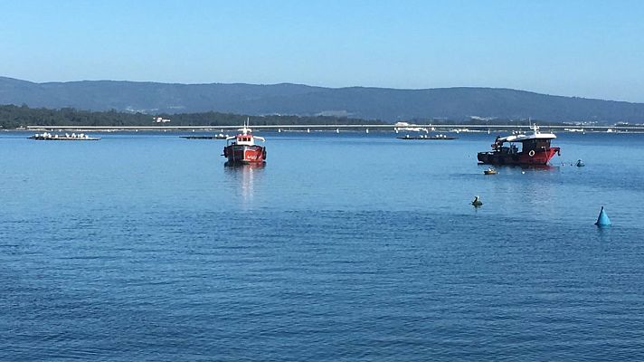España Directo - Preocupación en Galicia por el mejillón