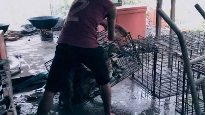 Telediario 1 - Protestas por el sacrificio de miles de perros en un festival tradicional en China