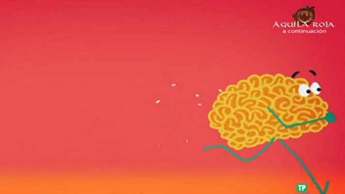 Desafía tu mente - Cómo interpreta el cerebro la información visual y auditiva