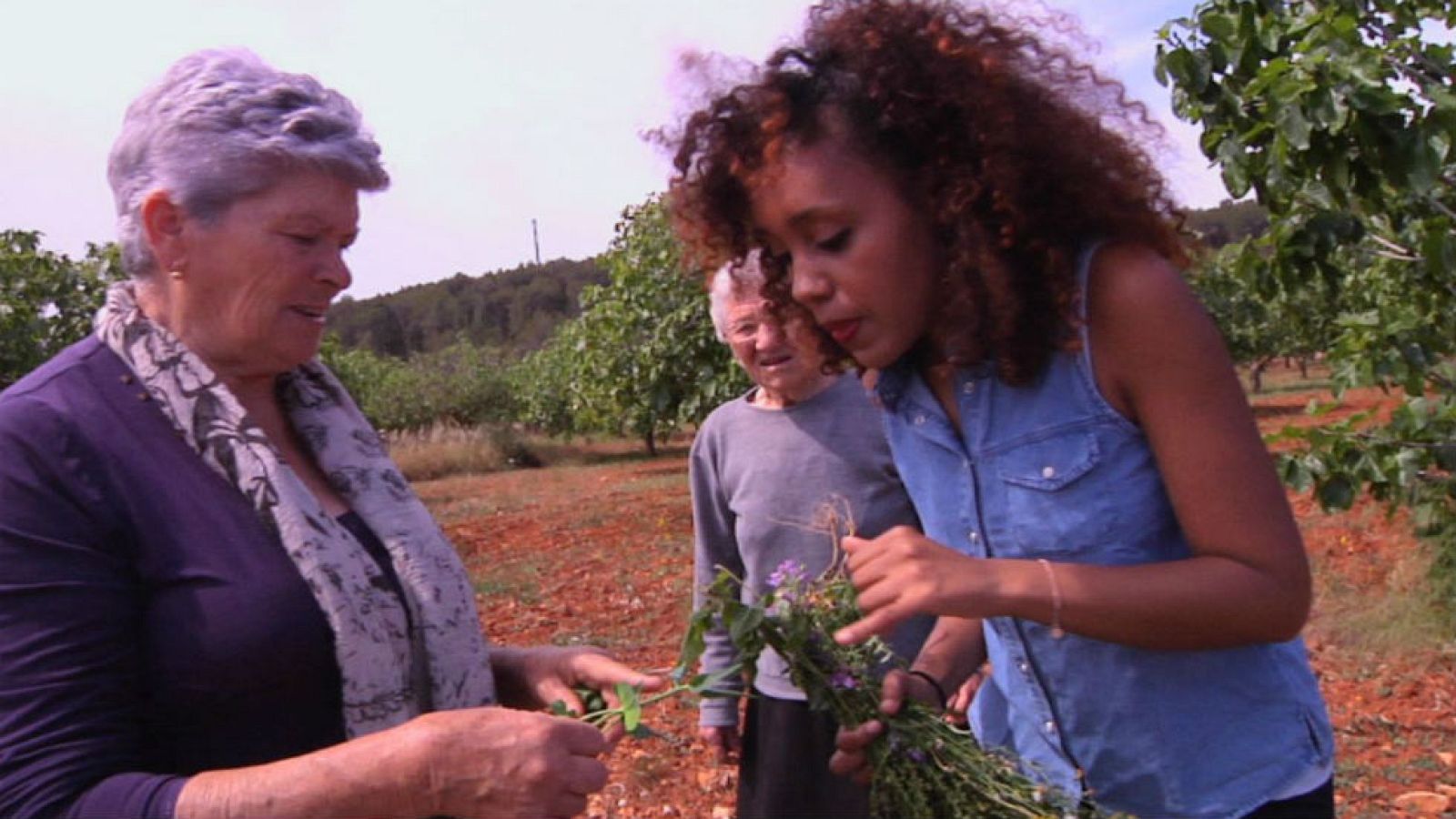 Una vida dedicada a las plantas