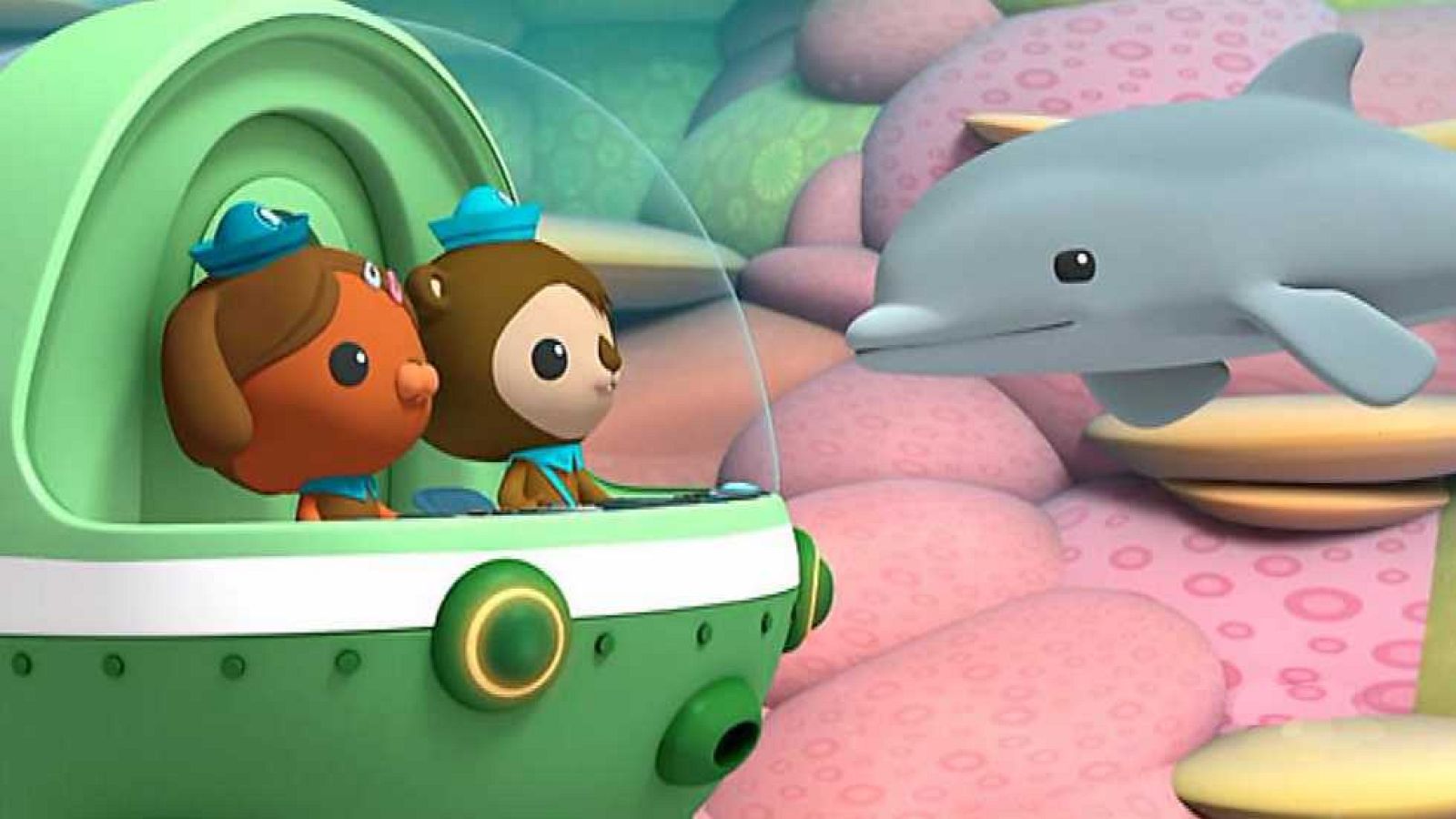 La cría del delfín - Los Octonautas | Ver