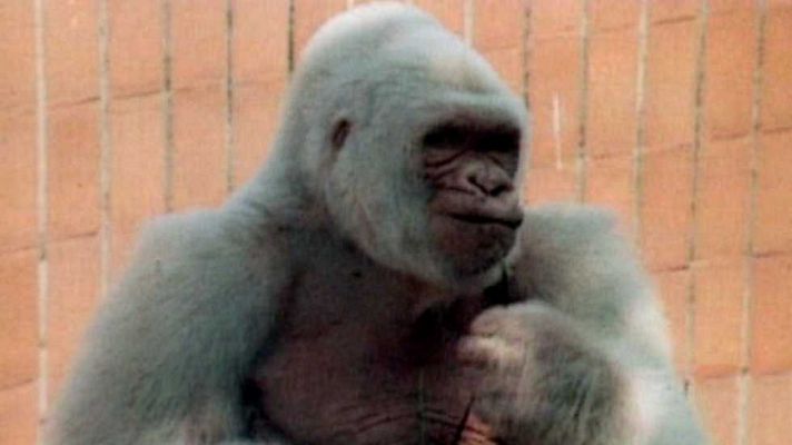 Viaje al centro de la tele - Más parte de tu vida