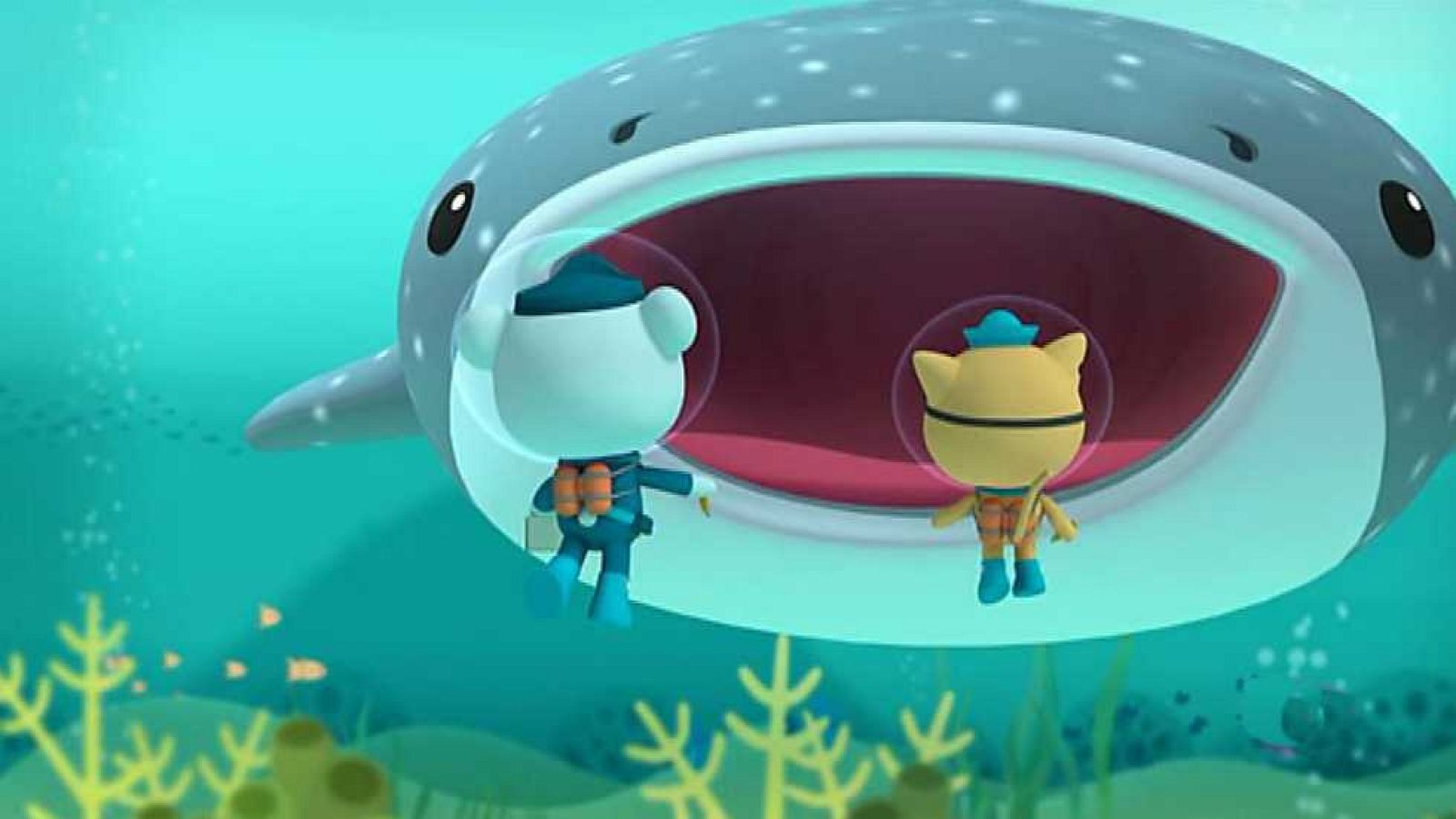El tiburón ballena - Los Octonautas | Ver