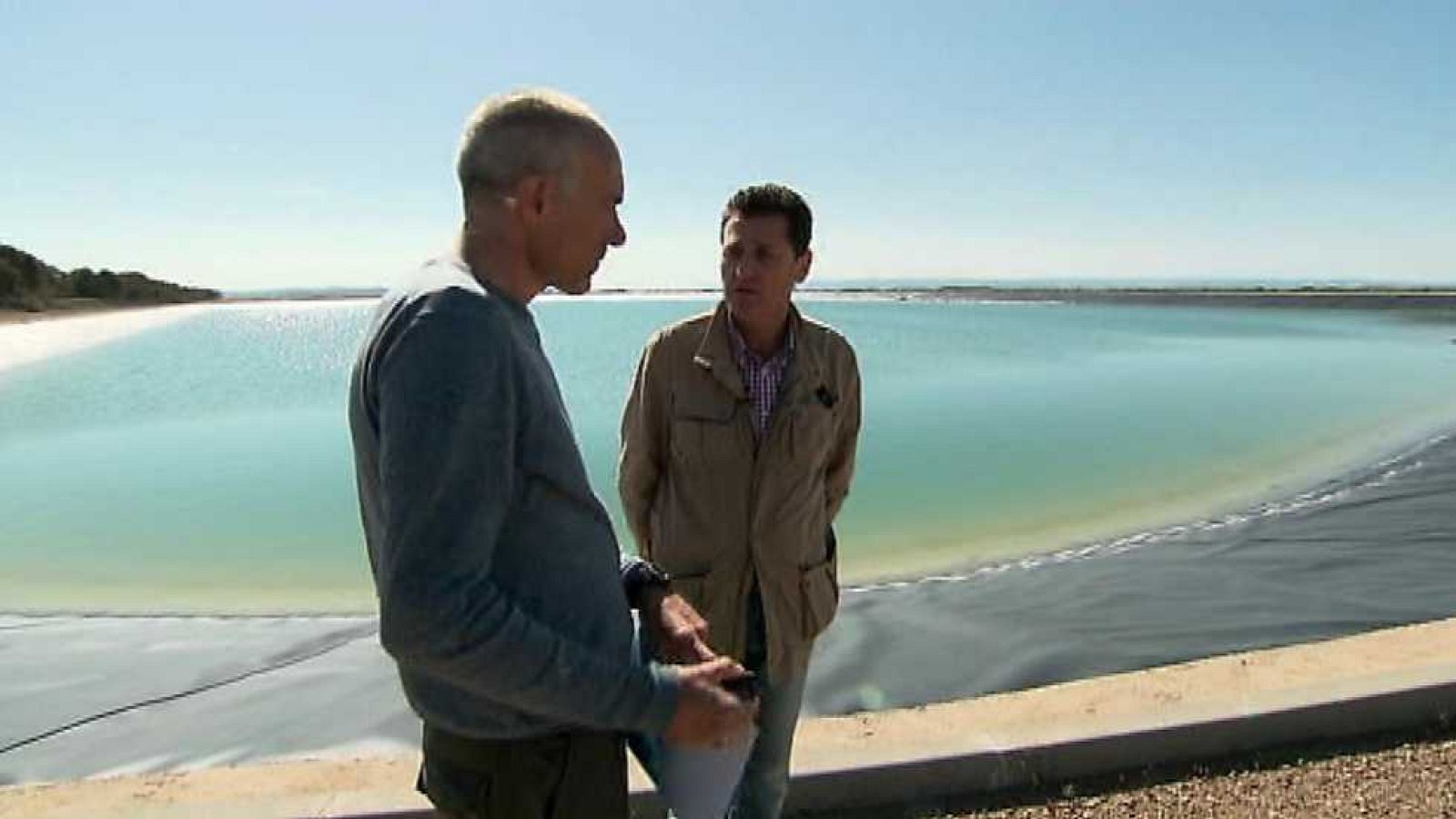 El escarabajo verde - Empantanados - ver ahora