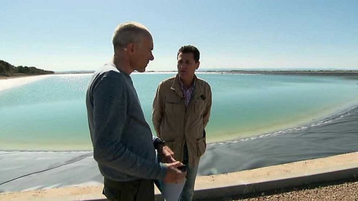 El escarabajo verde - Empantanados